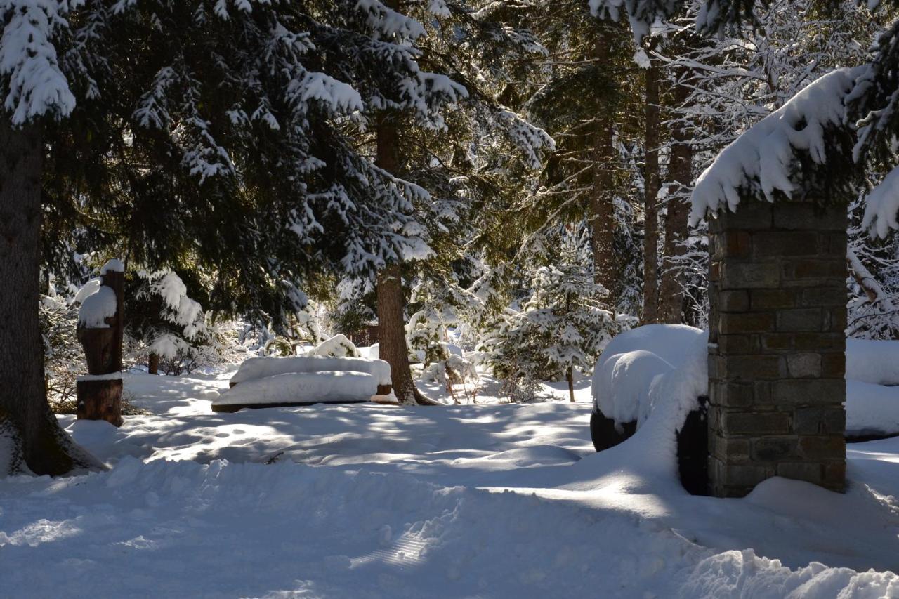 Alle Pendici Del Monte Rosa Champoluc Bagian luar foto